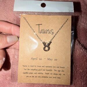 Silver Taurus Zodiac Fashion Necklace